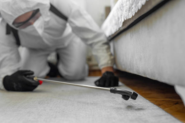 Professional Bed Bug Control technician working in Ramseur, NC