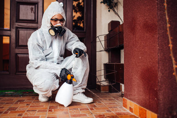 Reliable Bed Bug Control contractor in Ramseur, NC by Nex Pest Control