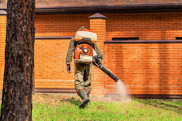 Top rated local Bed Bug Control specialists in Ramseur, NC